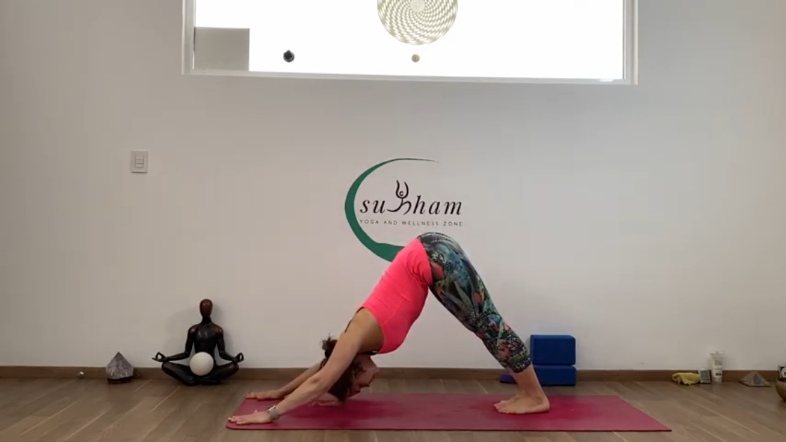 10. Vinyasa Yoga Avanzado (C. 10)