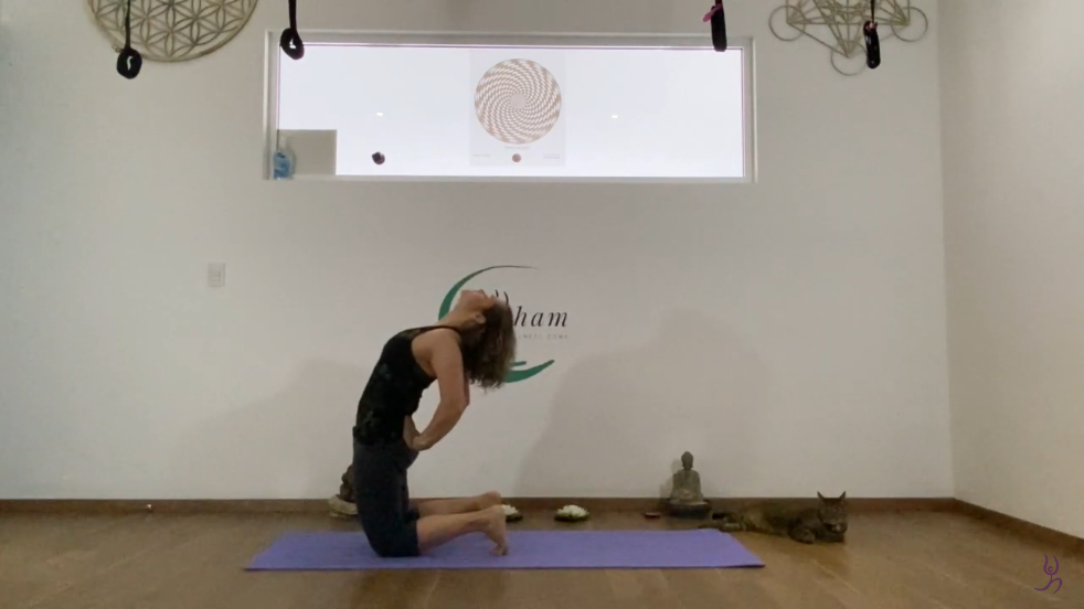 111. Vinyasa Yoga en Espirales Intermedio-Avanzado (C. 111)