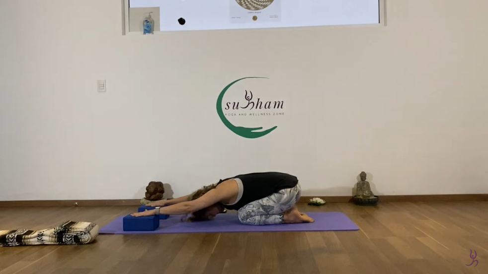 121. Yoga Terapéutico Espalda Alta y Cadera (C. 121)
