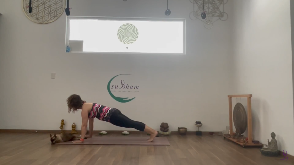 175. Vinyasa Yoga Intermedia Práctica Corta (C. 175)