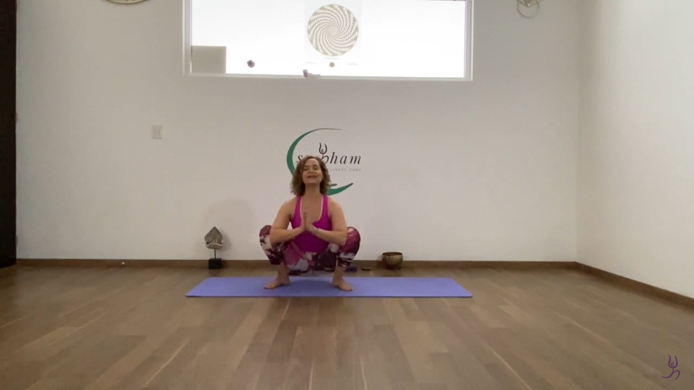 97. Vinyasa Yoga Principiante (C. 97)